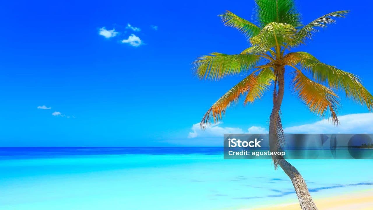 Saona Island - Full Day Open Bar, Lunch and Round Trip! — Guided tour and outdoor activity