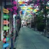 Puerto Plata: City Tour with Rum and Chocolate Factories - Bild 12