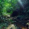 Punta Cana: Los Haitises Hike & Kayaking Mangroves - obrazek 3