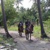 Beach horse back riding and countryside - Image 6
