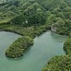 Los Haitises Kayak & Caño Hondo Pools – Group Tour From Miches - Image 7