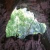 Los Haitises National Park: Boat and Walking Tour with Lunch - Bild 9